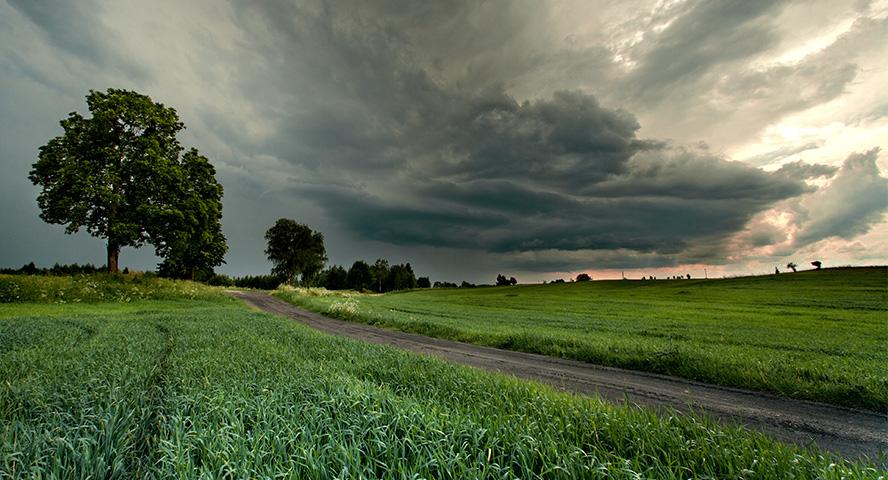 Groen Nederlands landschap met smalle landweg en donkere onweerswolken in de verte.