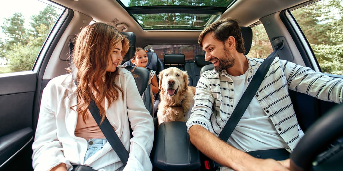 Gezin en hond op autovakantie
