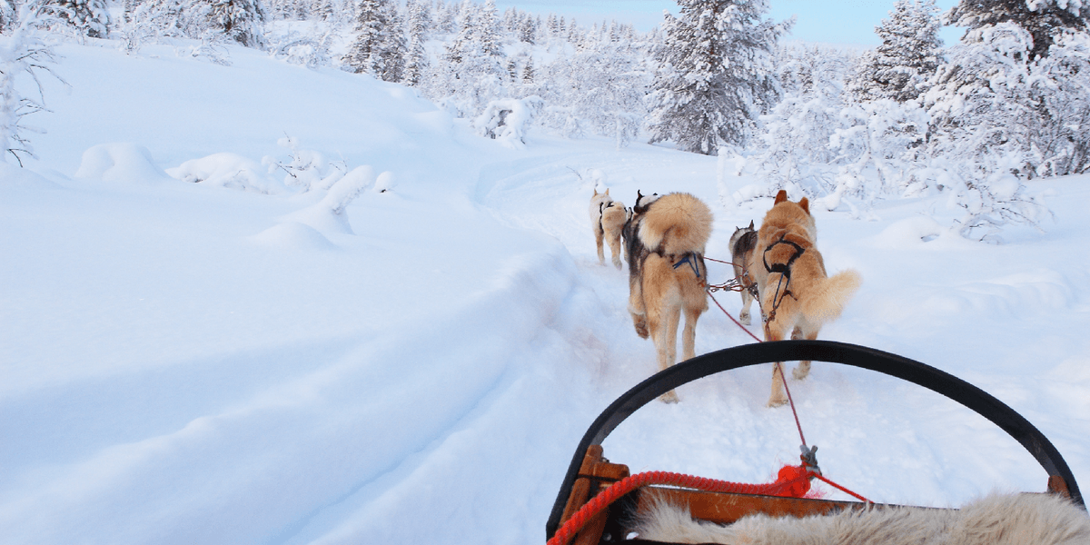 Wintersport in Finland met een wintersportverzekering