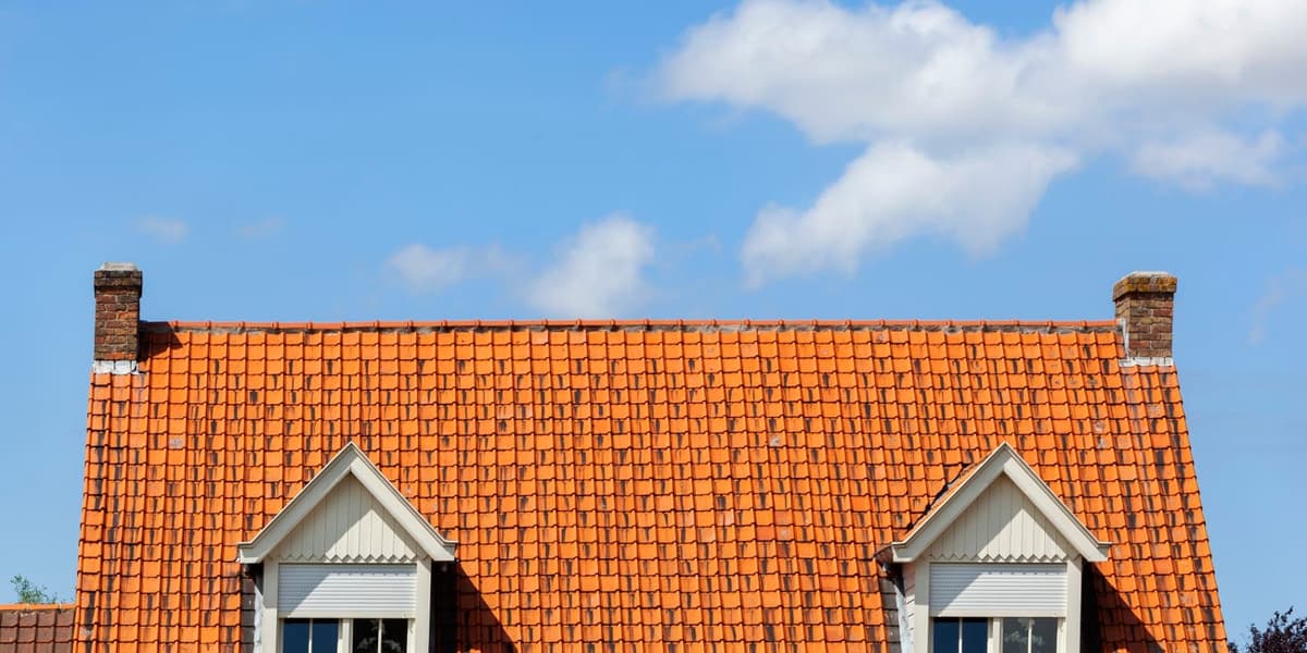 Dak van de woning met daarin twee dakramen