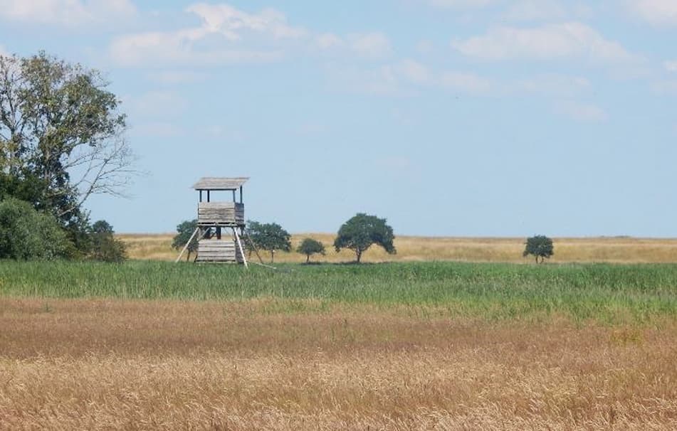 Een houten uitkijktoren staat in een uitgestrekt veld met verschillende lagen gras en gewassen. Op de achtergrond zijn enkele verspreide bomen te zien onder een lichte blauwe hemel met enkele wolken.