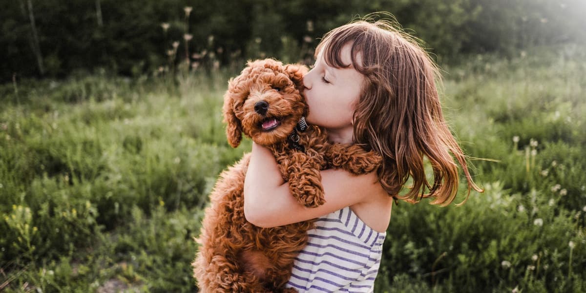 Puppy en kind puppy verzekering